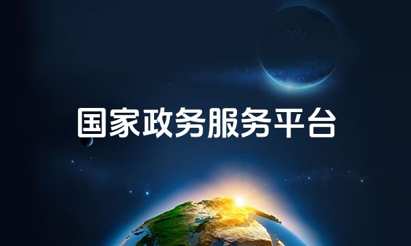国家政务服务平台站点图标