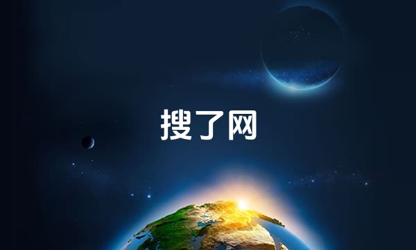 搜了网站点图标