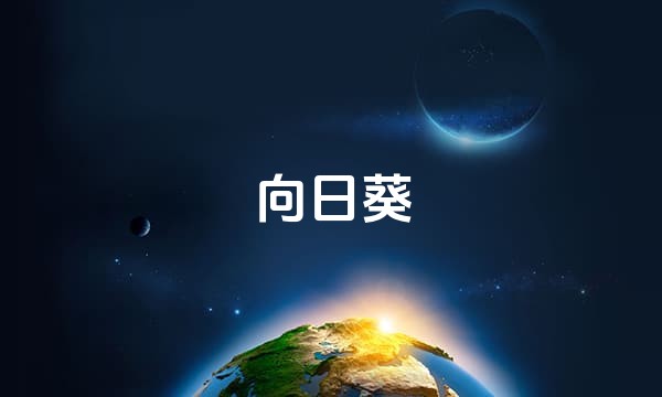 向日葵站点图标
